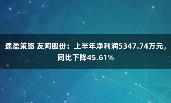 速盈策略 友阿股份：上半年净利润5347.74万元，同比下降45.61%
