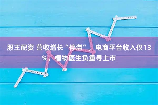 股王配资 营收增长“停滞”，电商平台收入仅13%，植物医生负重寻上市